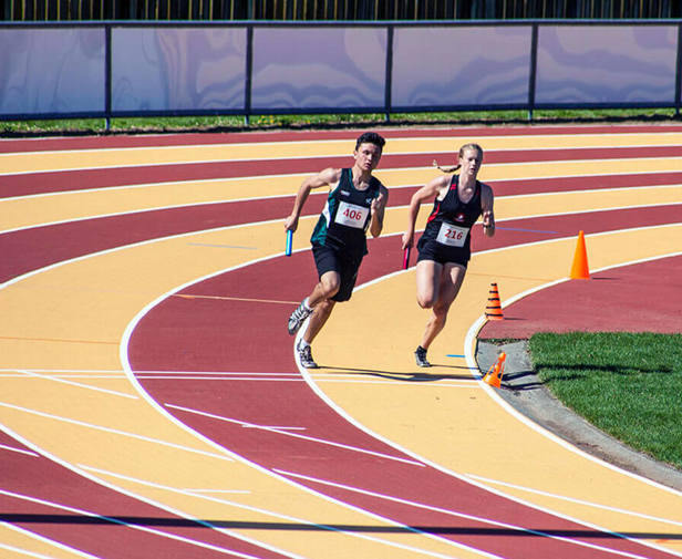 TET Stadium Tet Stadium Aluminium Composite Panels Mulford Nz (1)